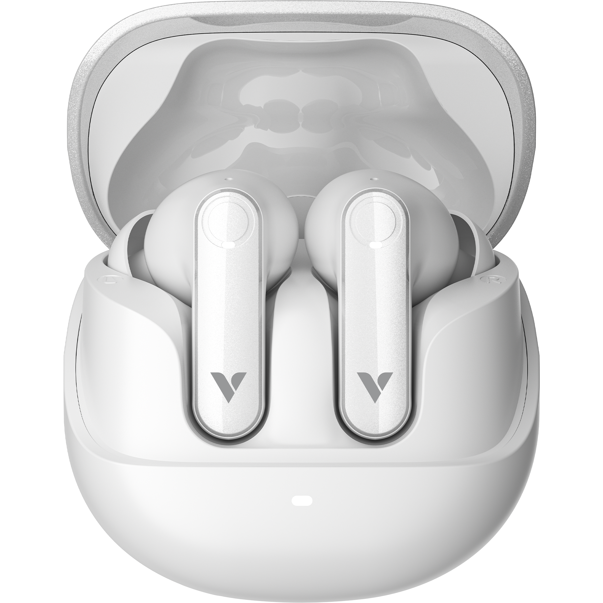 30202 Charging Case Open
