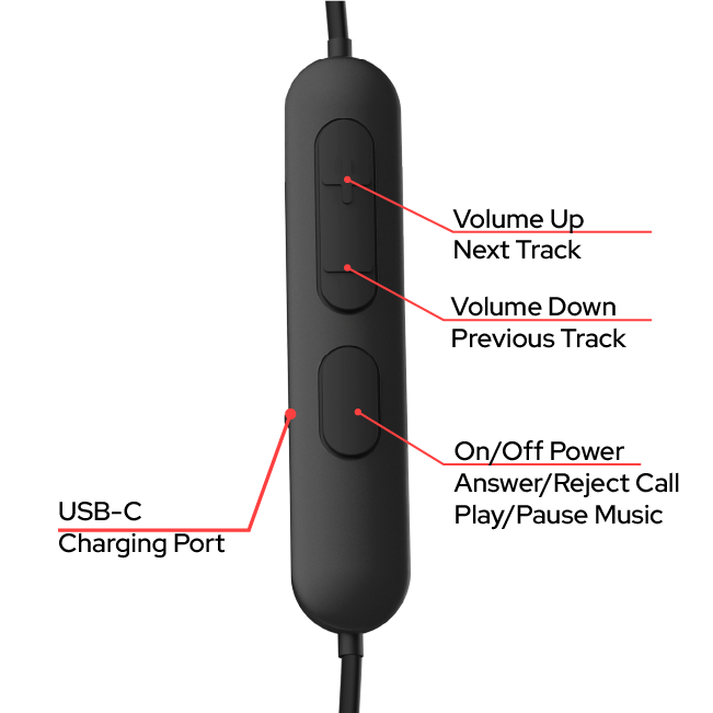 30203 Supporting Graphics
